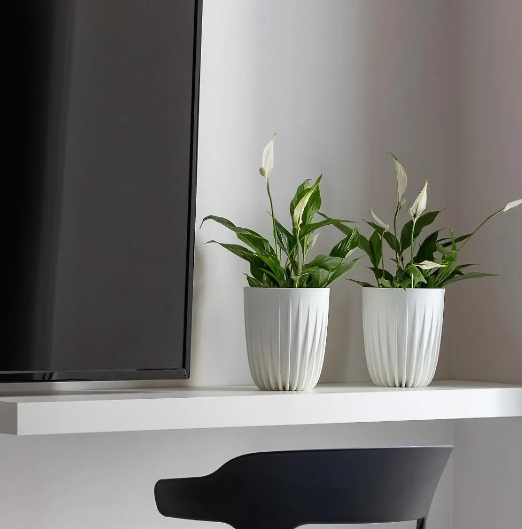 Studio Apartment With Terrace -Starowslna 43 Krakow 0*,